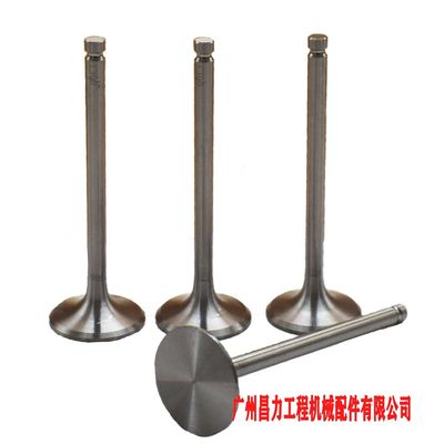 Xinchai Diesel Engine Intake Valve 490B-03014 for 490BPG A490BPG C490BPG 4D27G31 Engines with 1 to 2 Days Delivery